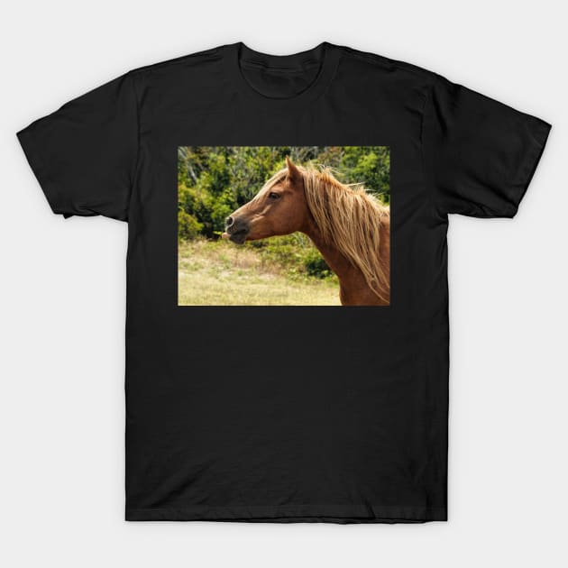 Assateague Pony Blowing Raspberries T-Shirt by Swartwout